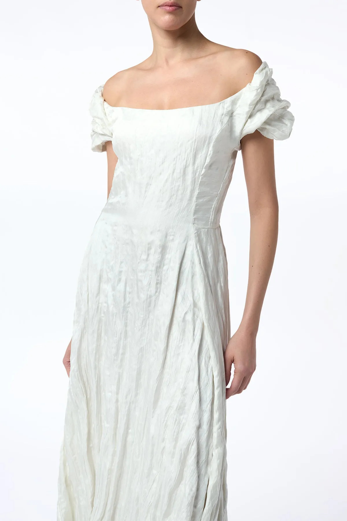 Juniper Maxi Dress in Ivory Metallic Crinkled Silk sold by Gabriela Hearst product image thumbnail 5
