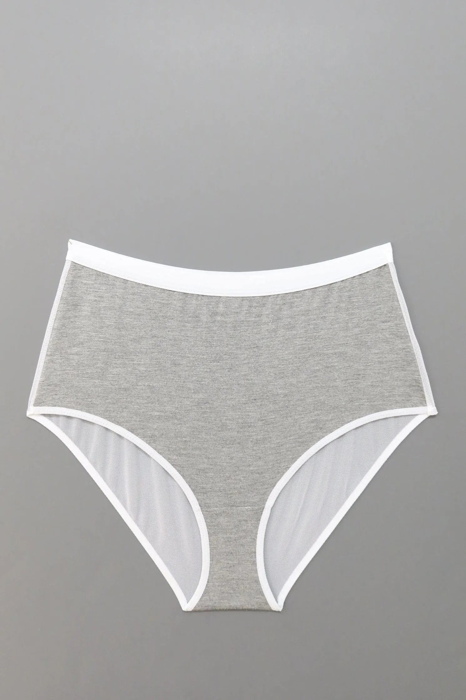 Lux High Waist Brief in Grey Sample sold by MARY YOUNG product image thumbnail 4