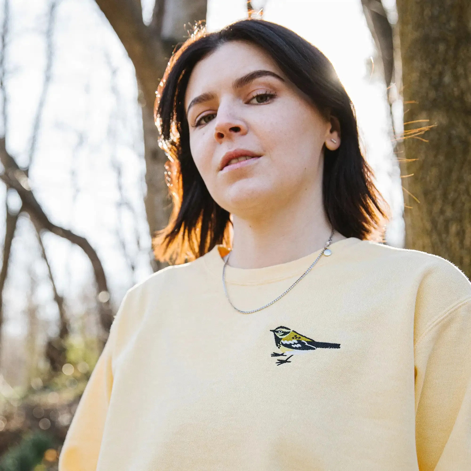 Townsend's Warbler Embroidered Sweatshirt sold by Bird Collective product image thumbnail 4