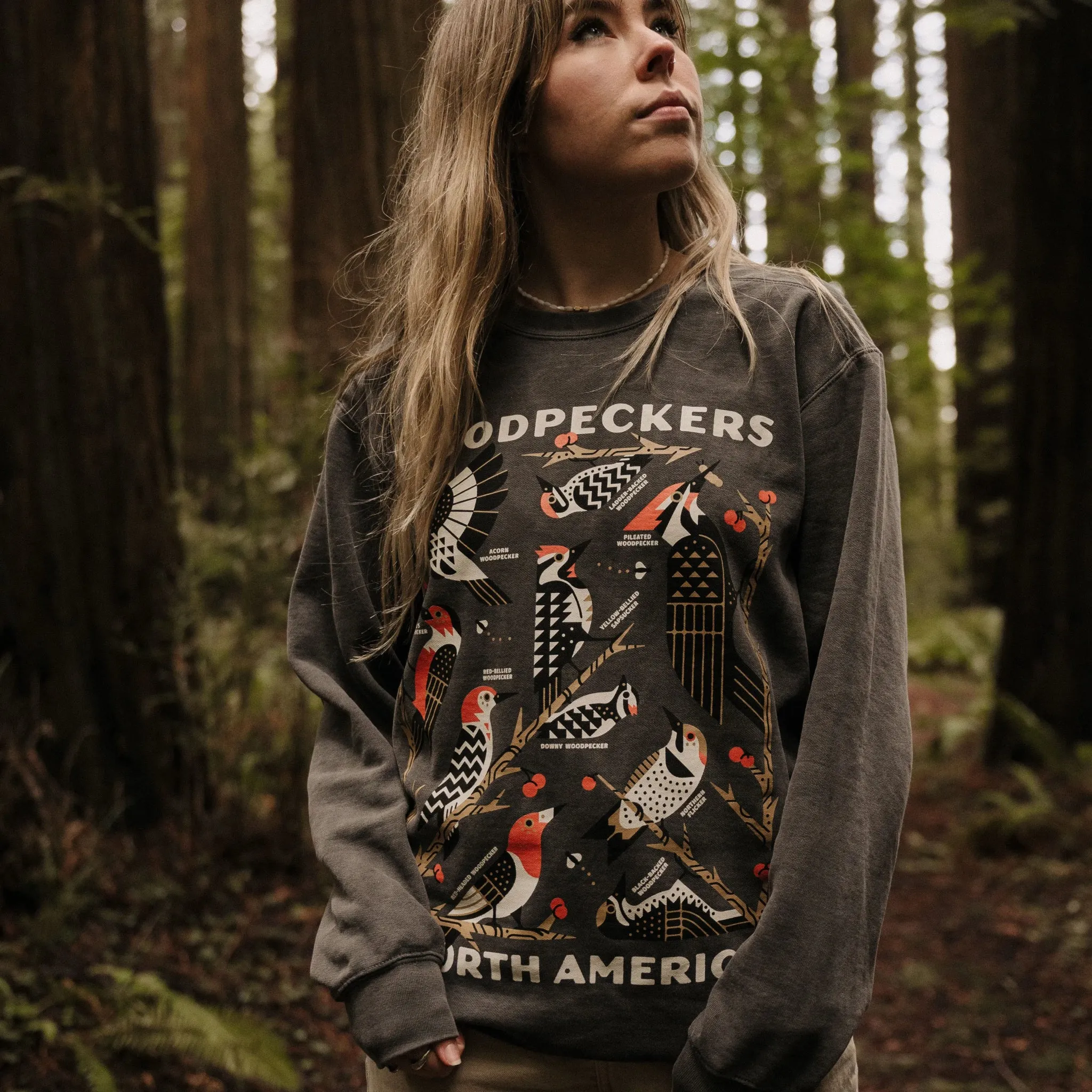 Woodpeckers of North America Sweatshirt sold by Bird Collective product image thumbnail 4