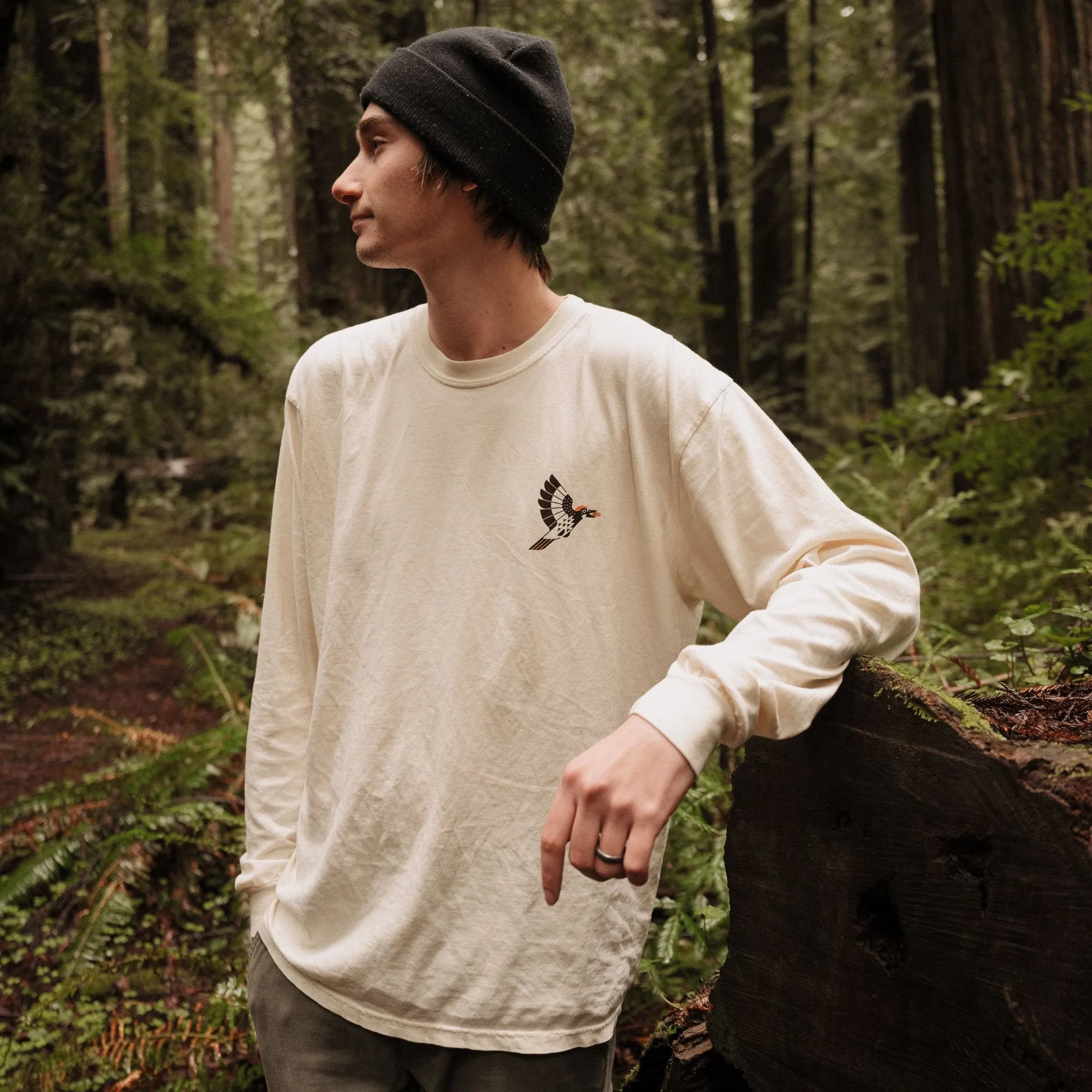 Woodpeckers of North America Long Sleeve Tee sold by Bird Collective product image thumbnail 2