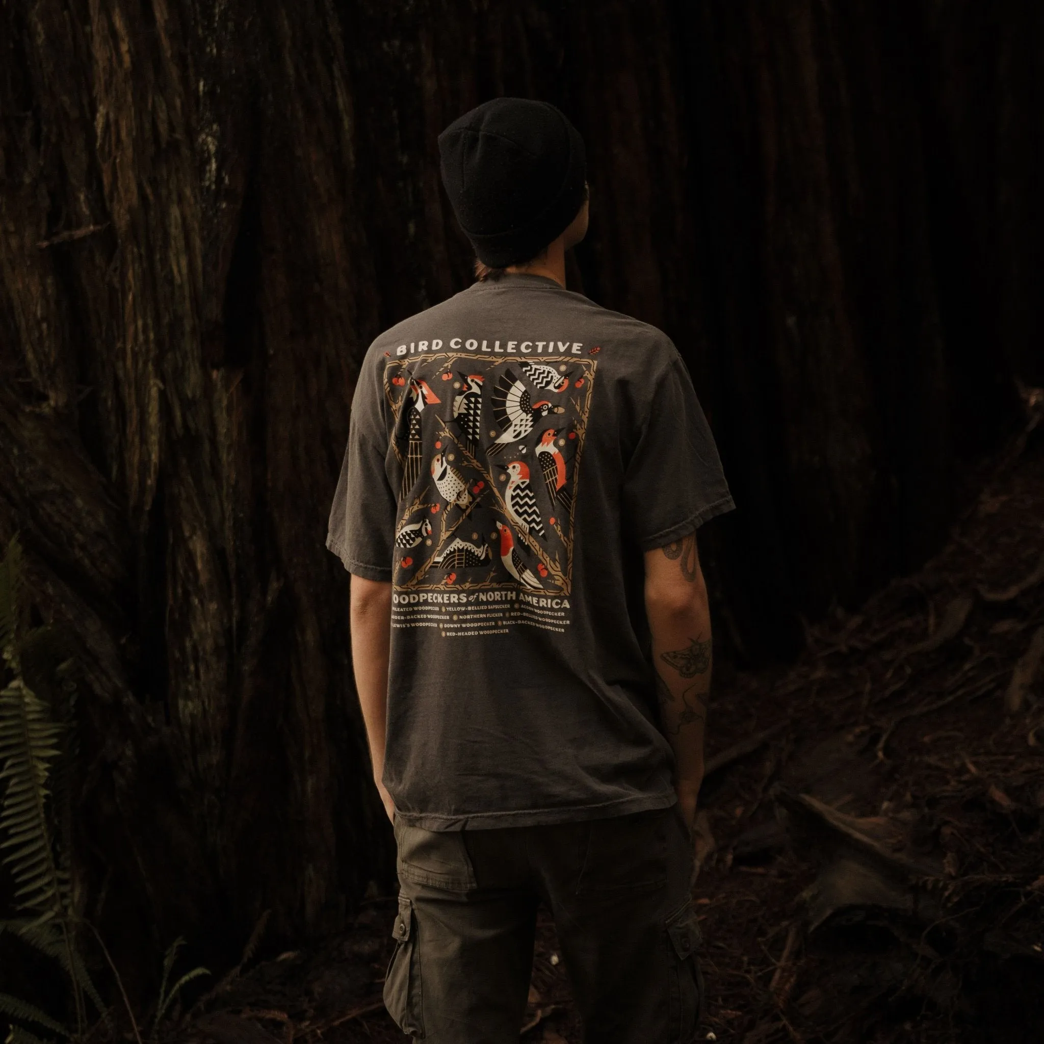 Woodpeckers of North America Tee sold by Bird Collective product image thumbnail 2