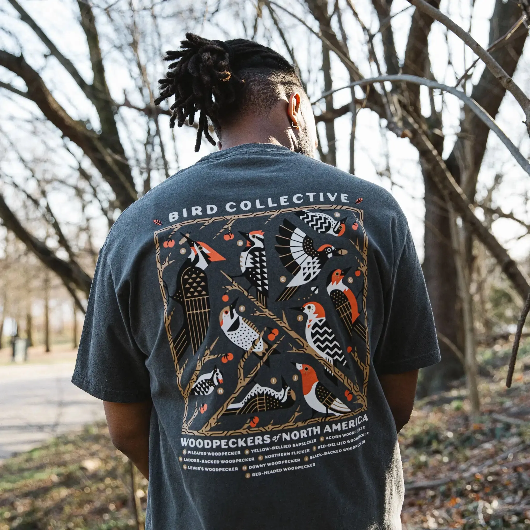 Woodpeckers of North America Tee sold by Bird Collective product image thumbnail 5