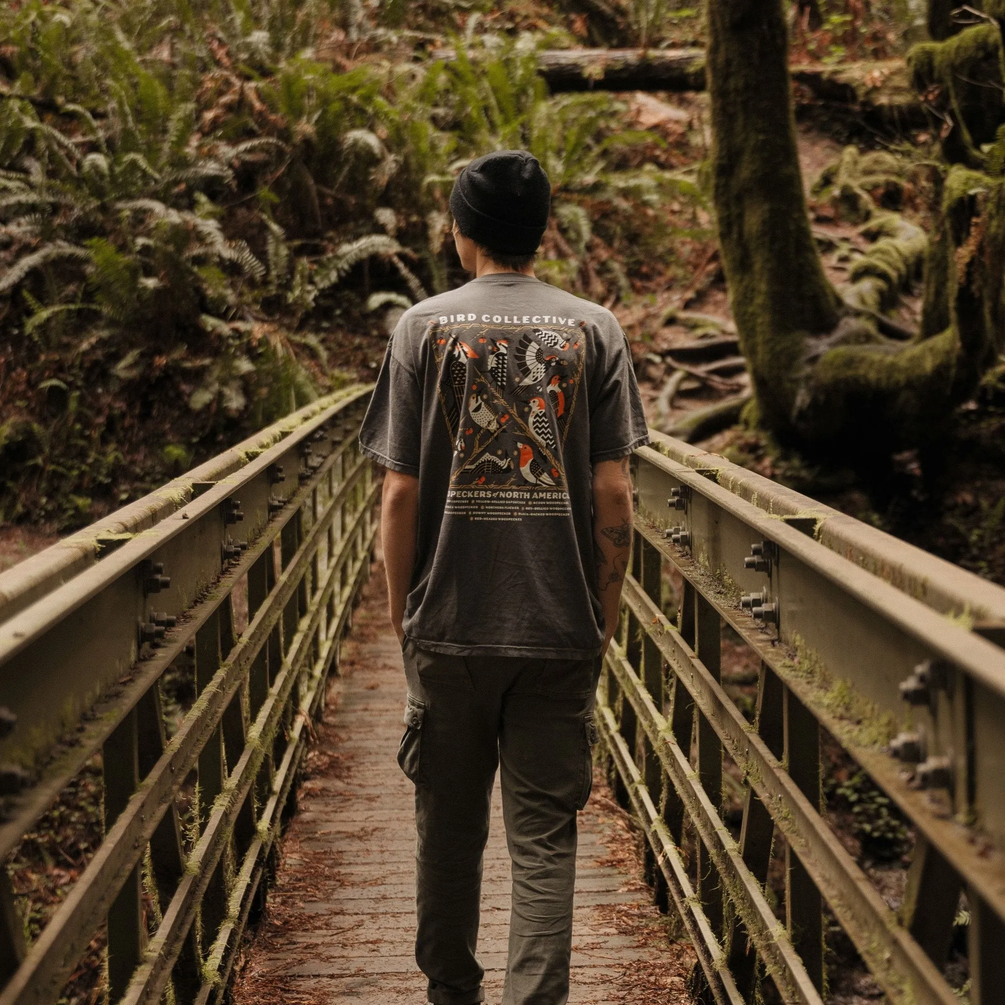 Woodpeckers of North America Tee sold by Bird Collective product image thumbnail 3