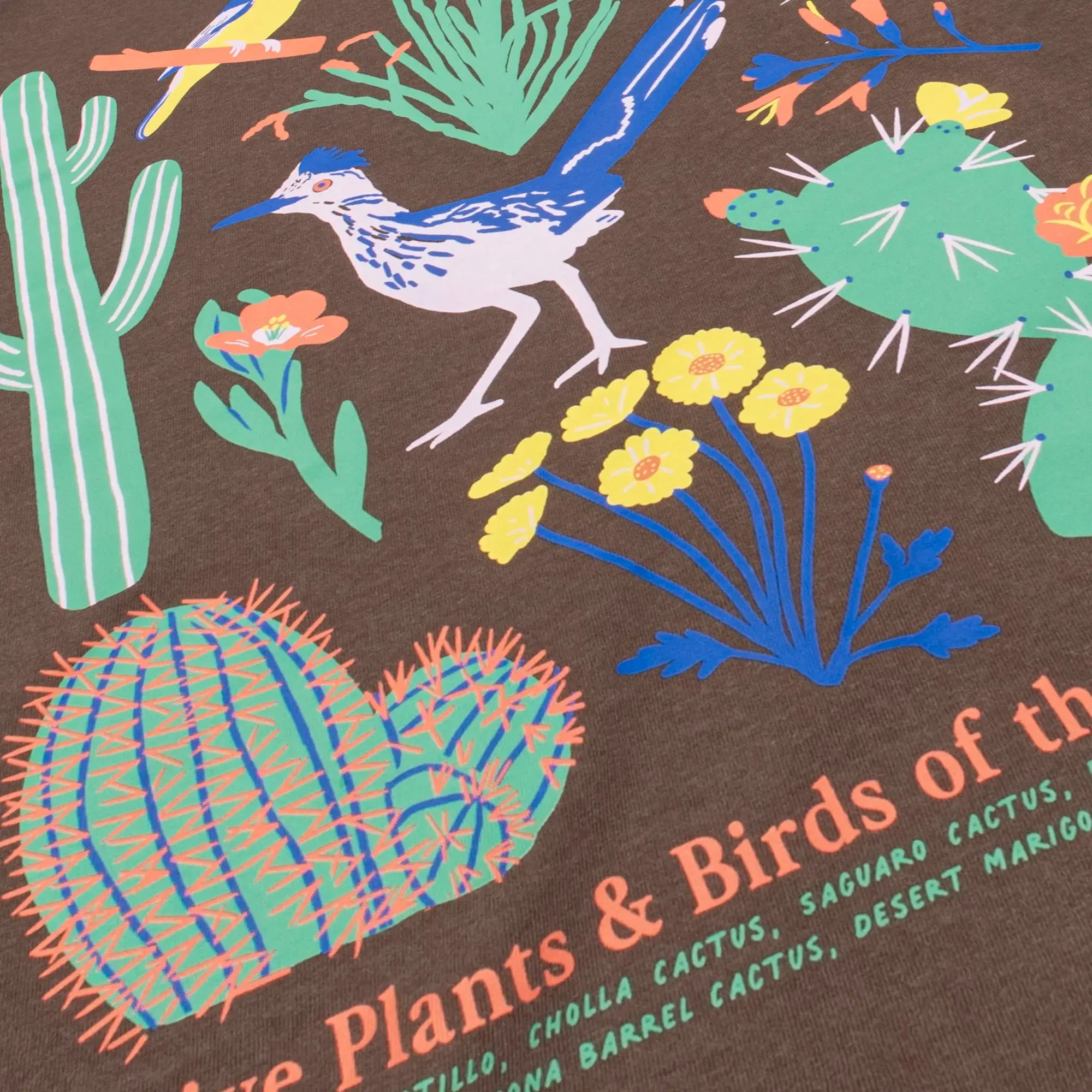 Southwestern Natives Tee sold by Bird Collective product image thumbnail 2