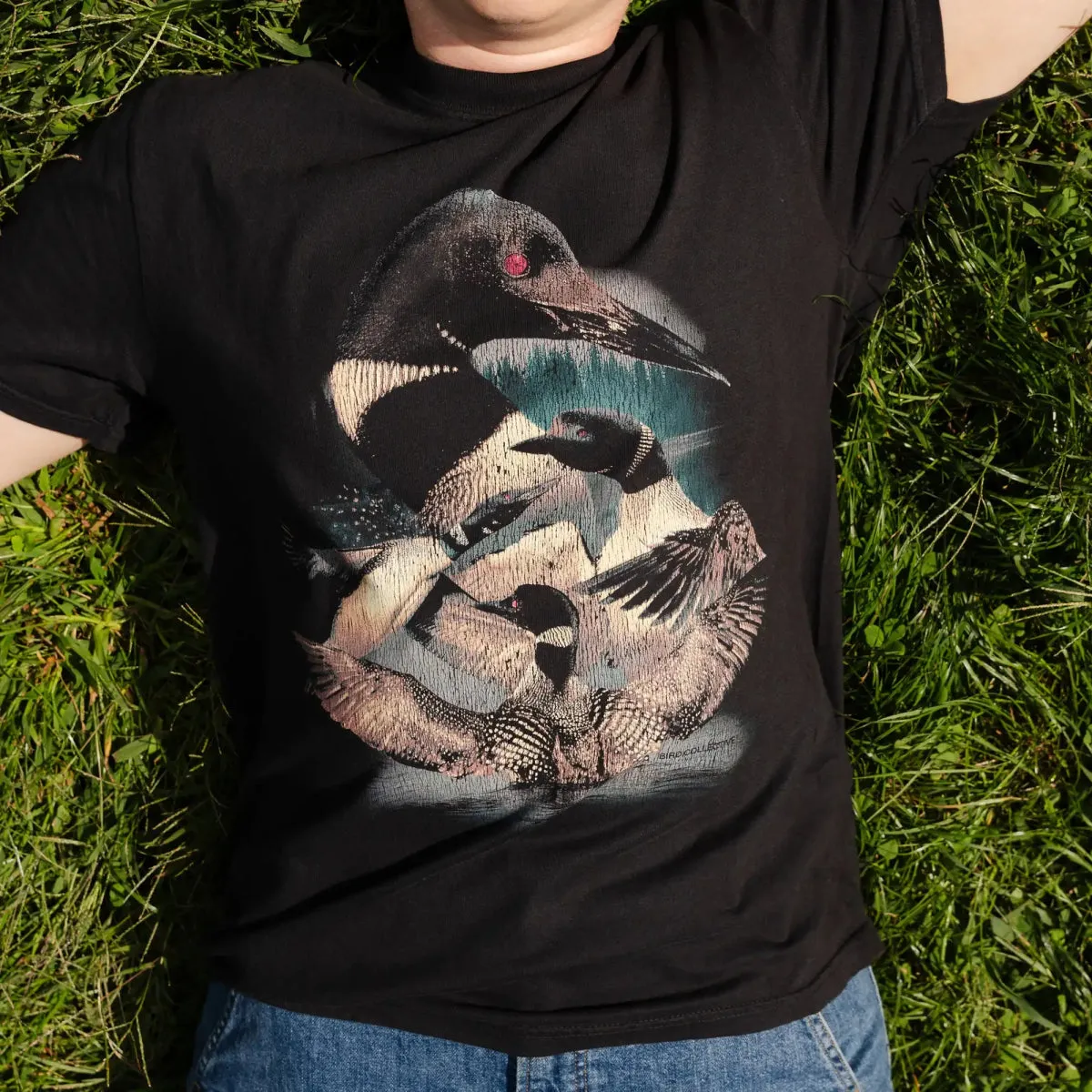 Common Loon Lake Tee sold by Bird Collective product image thumbnail 4