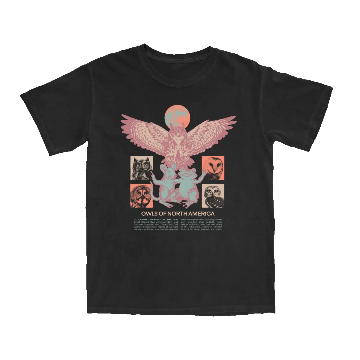 Owls of North America Tee sold by Bird Collective