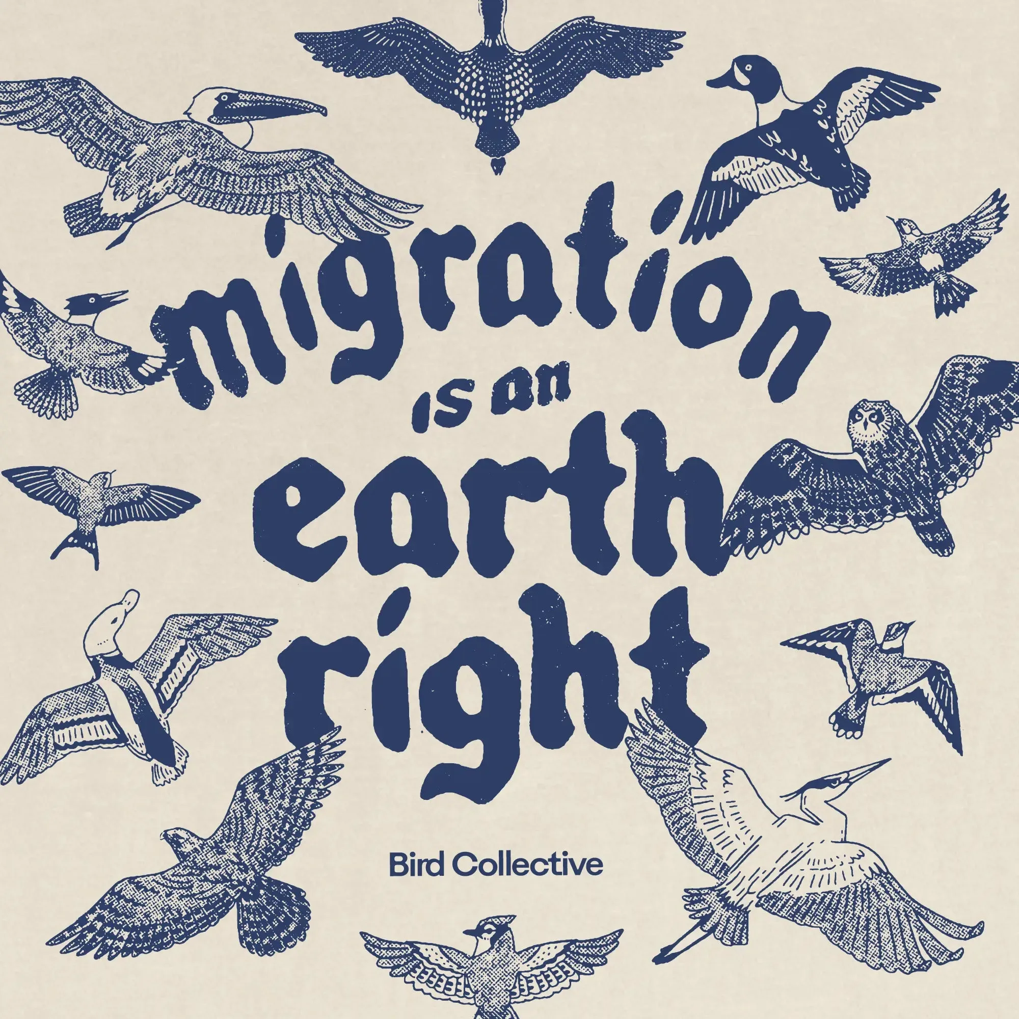 Migration Is An Earth Right Tee sold by Bird Collective product image thumbnail 2