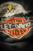 HARLEY DAVIDSON EAGLE CLASSIC CREW SWEATSHIRT sold by MadeWorn