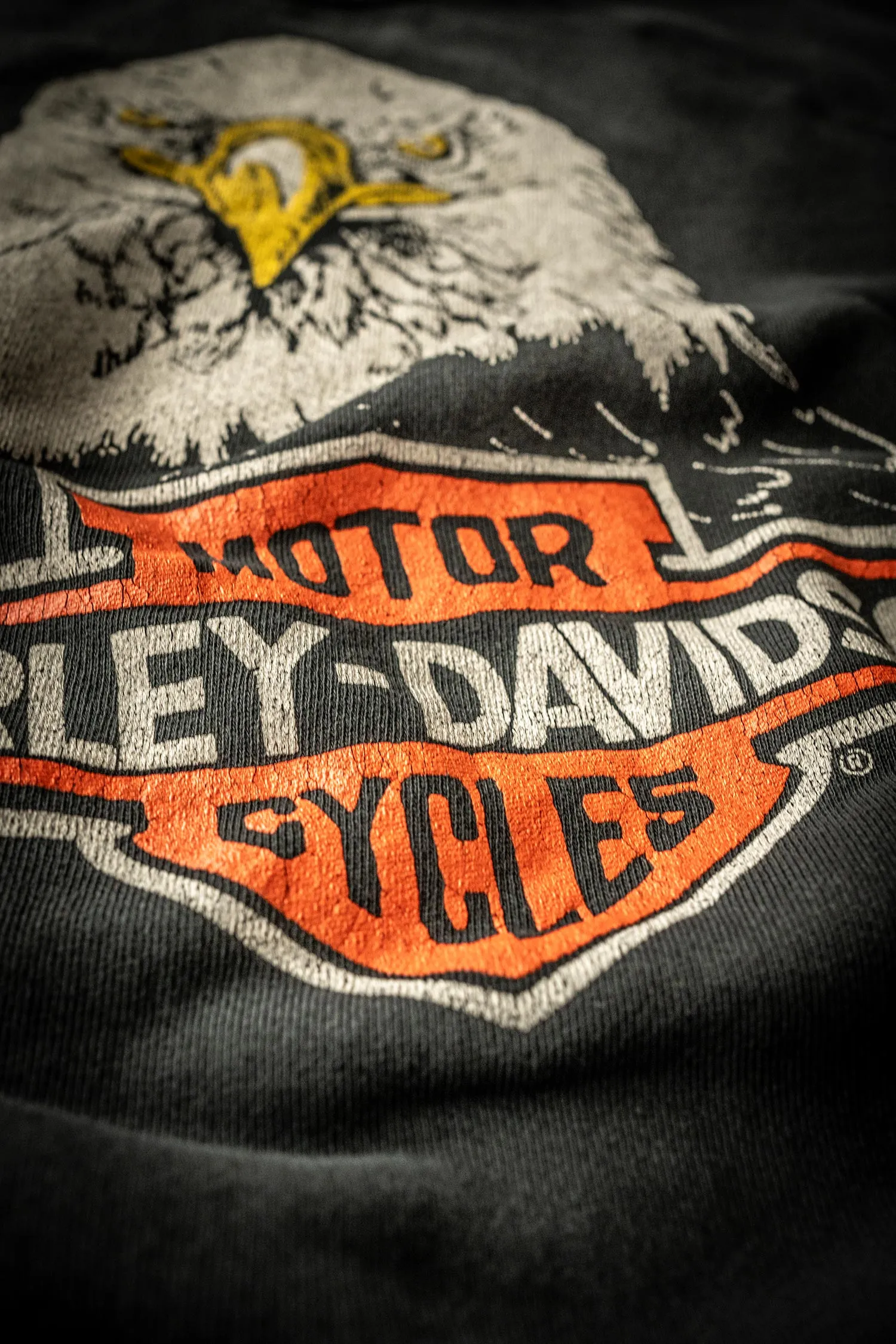 HARLEY DAVIDSON EAGLE CLASSIC CREW SWEATSHIRT sold by MadeWorn product image thumbnail 2