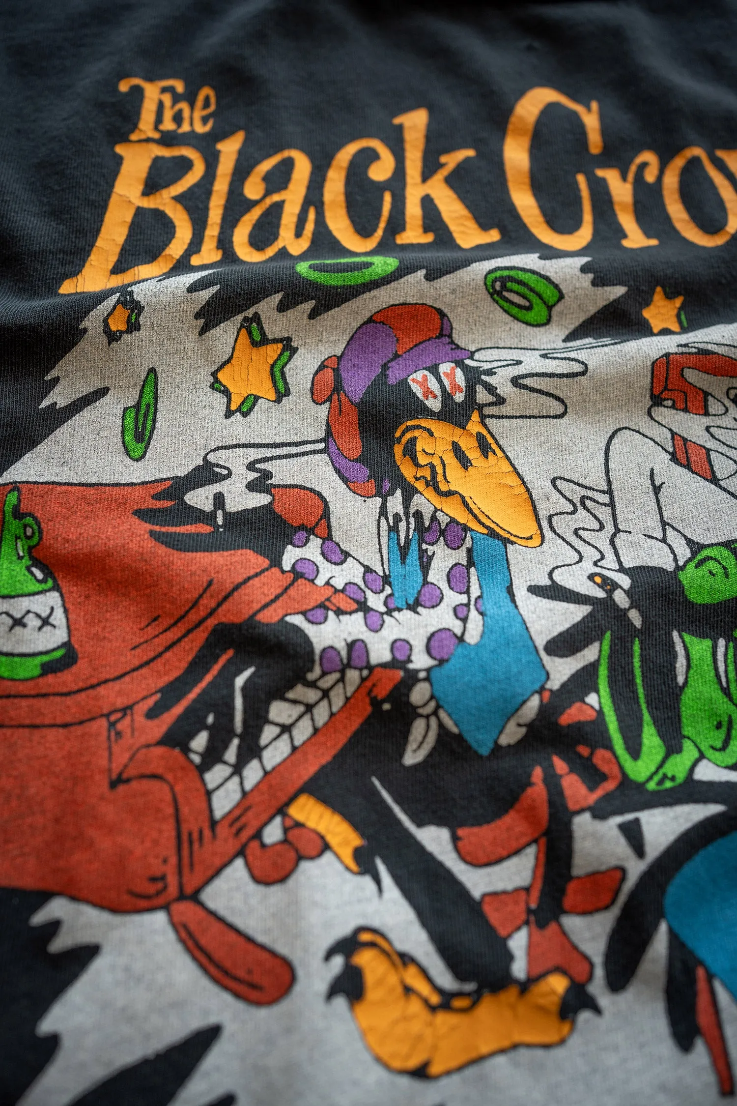 THE BLACK CROWES EVERGREEN '90S FIT sold by MadeWorn product image thumbnail 5