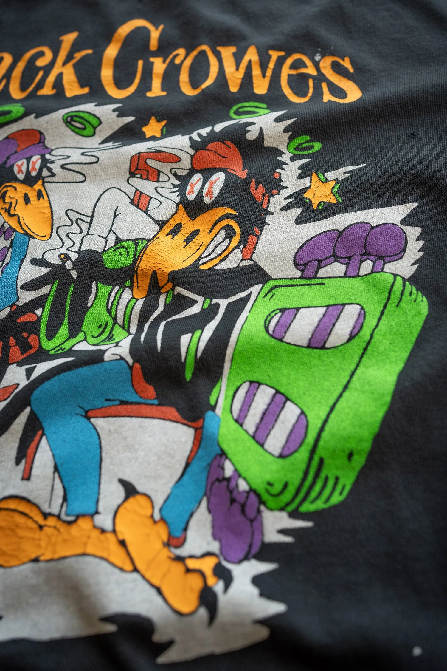 THE BLACK CROWES EVERGREEN '90S FIT sold by MadeWorn product image thumbnail 4