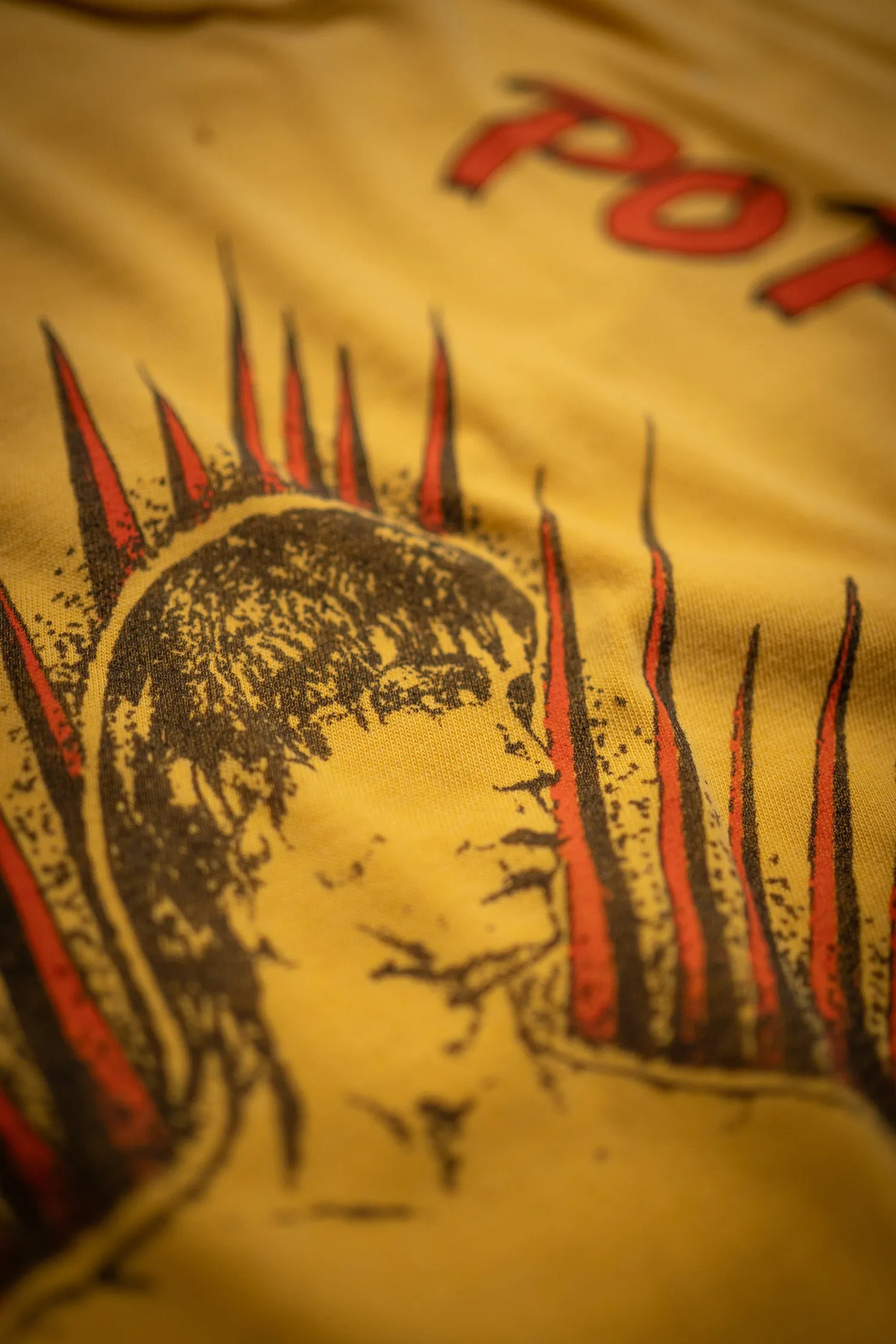 IGGY POP USA TOUR sold by MadeWorn product image thumbnail 2