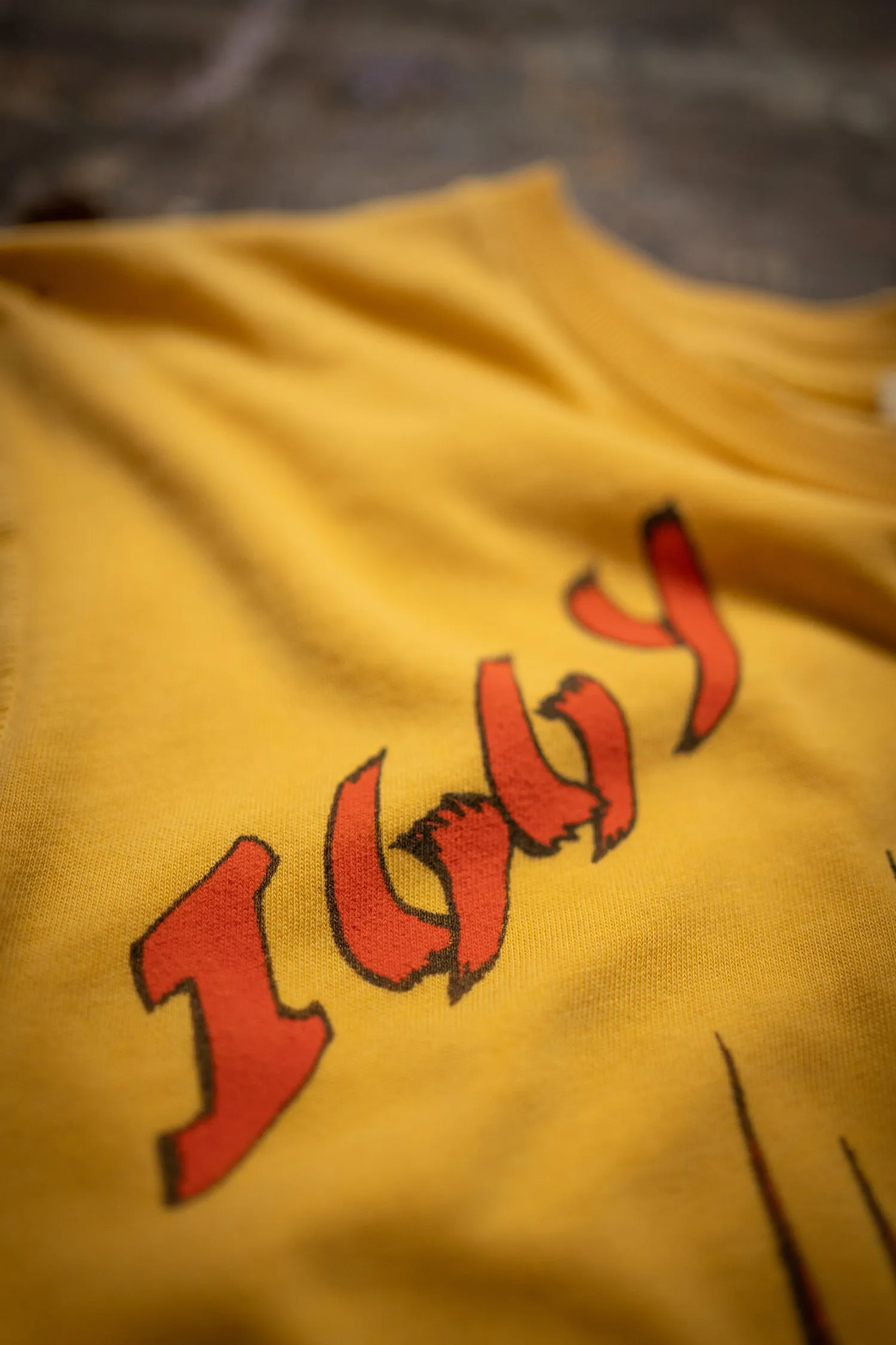 IGGY POP USA TOUR sold by MadeWorn product image thumbnail 5