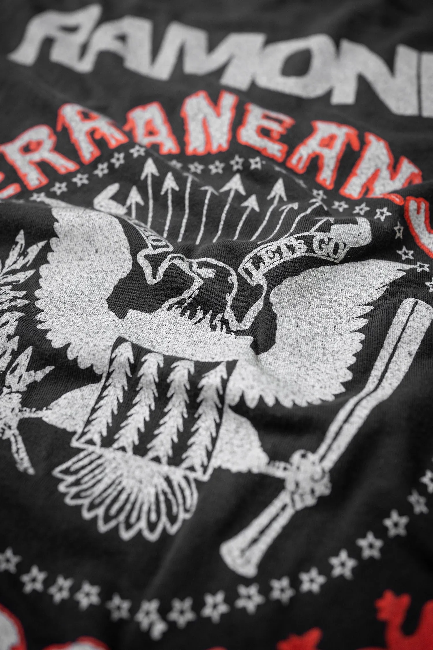 RAMONES SUBTERRANEAN JUNGLE sold by MadeWorn product image thumbnail 2