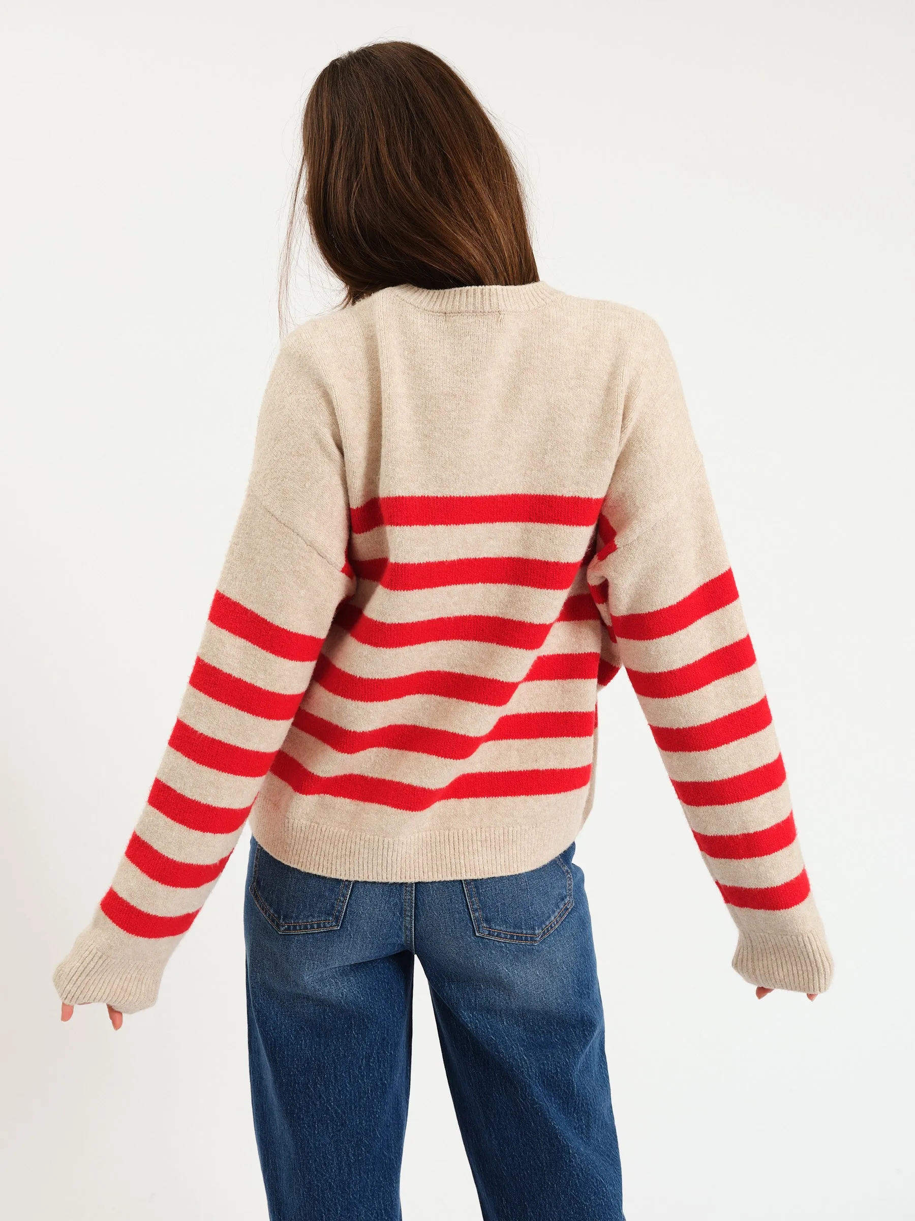 Carlyle Crewneck Sweater in Red Oat Stripe sold by Daze product image thumbnail 3