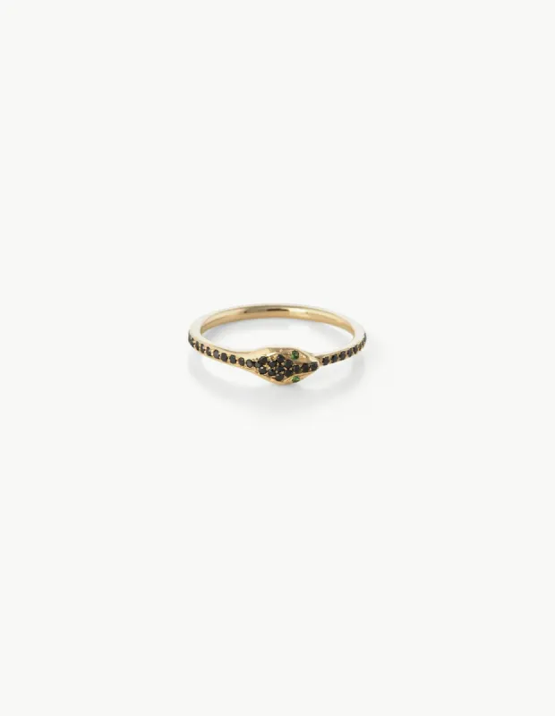 Black Diamond Ouroboros Eternity Ring sold by Kathryn Bentley