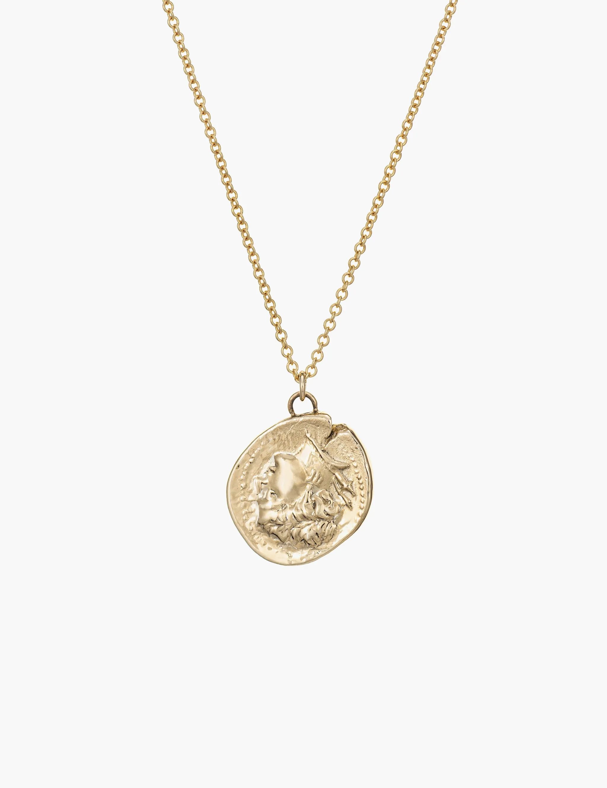 Lion Coin Pendant sold by Kathryn Bentley product image thumbnail 4
