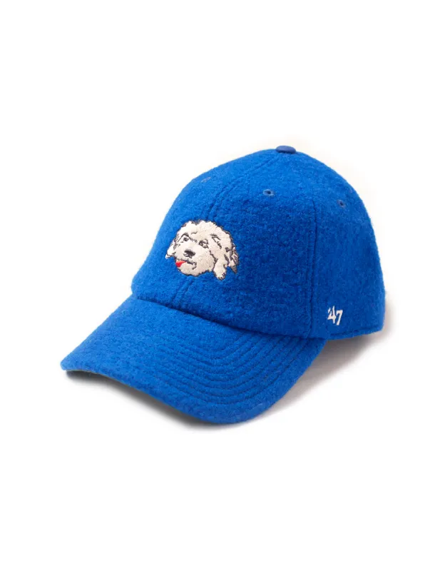 SHAGGY DOG BASEBALL CAP - ROYAL sold by J. Press