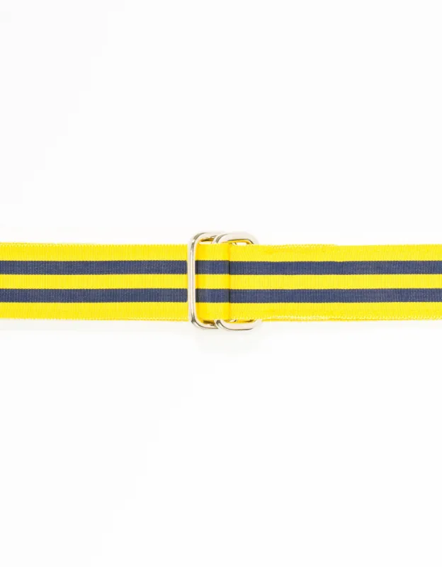 YELLOW/NAVY GROSGRAIN RIBBON BELT sold by J. Press