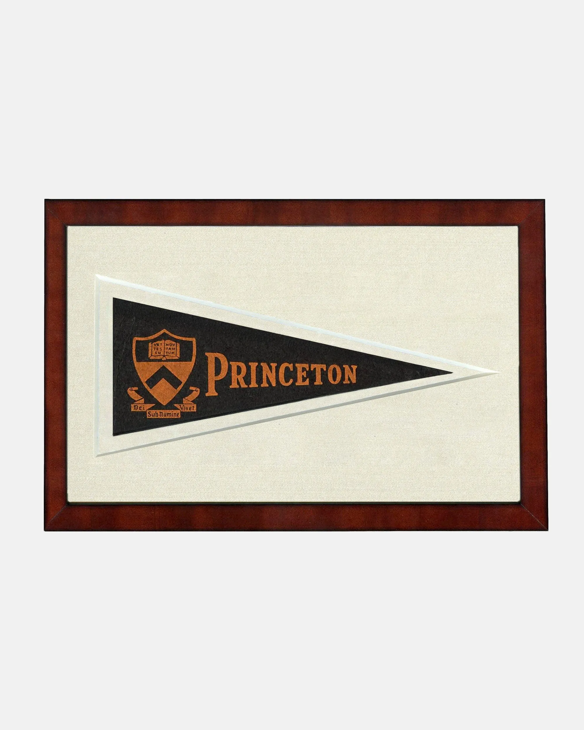 Princeton Framed Vintage Pennant sold by J. Press