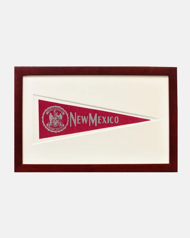 University of New Mexico Framed Vintage Pennant sold by J. Press