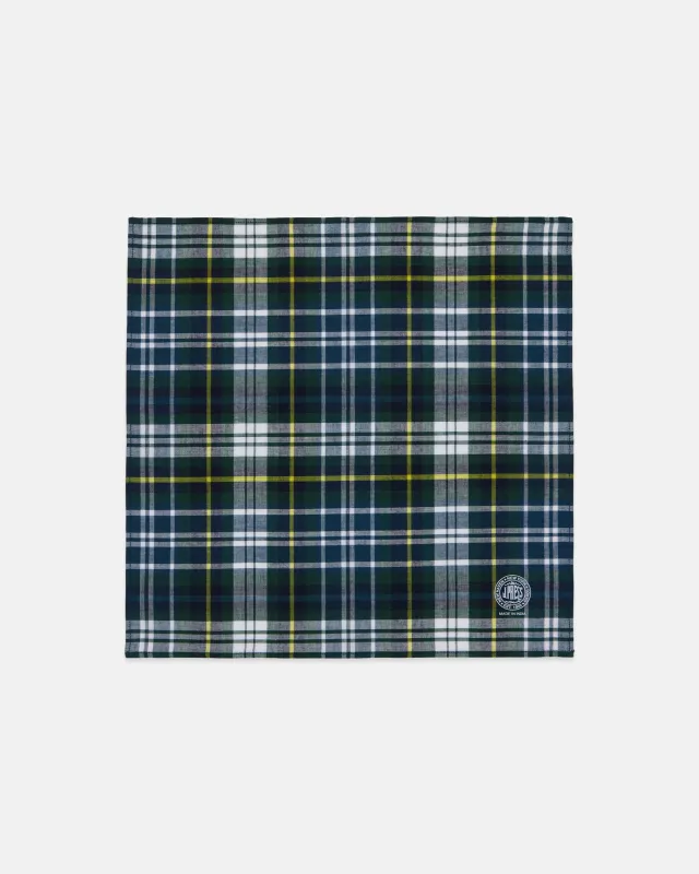 Genuine Madras Green Pocket Square made by J. Press