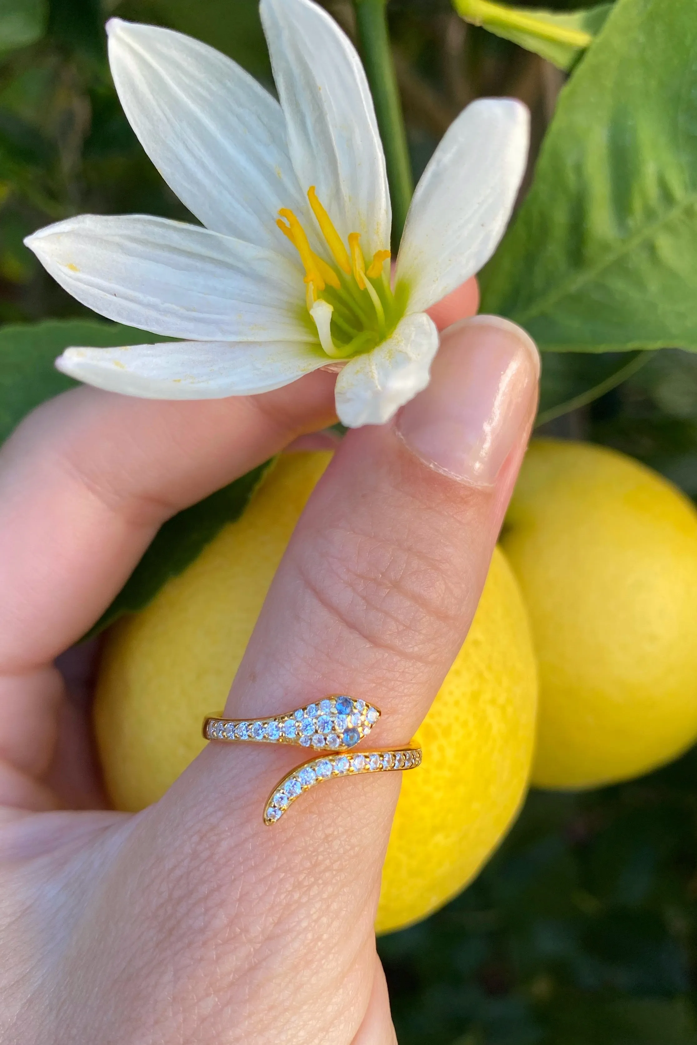 SNAKE CHARMER RING sold by Native Gem product image thumbnail 2