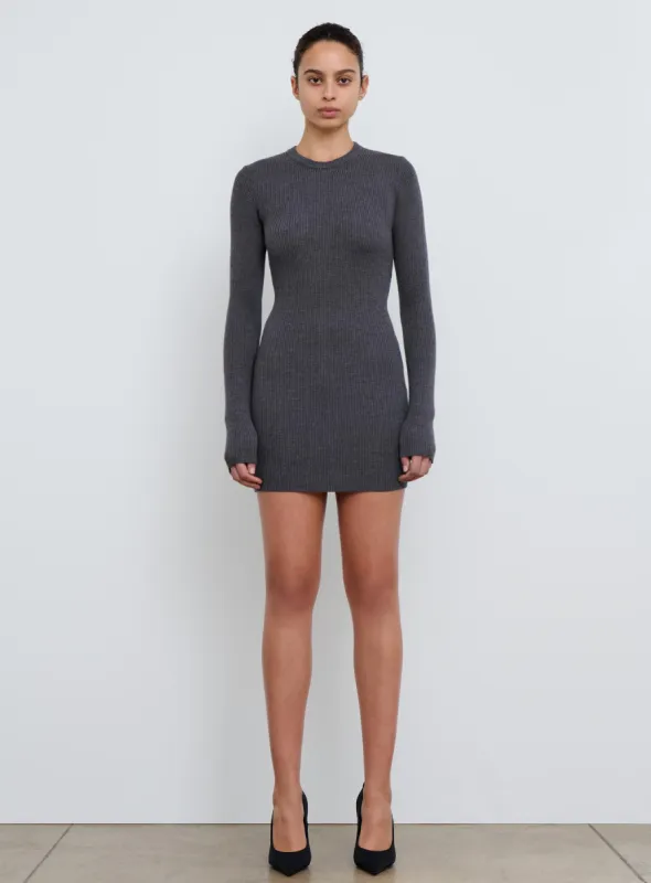 Ribbed Long Sleeve Dress Mini sold by WARDROBE.NYC
