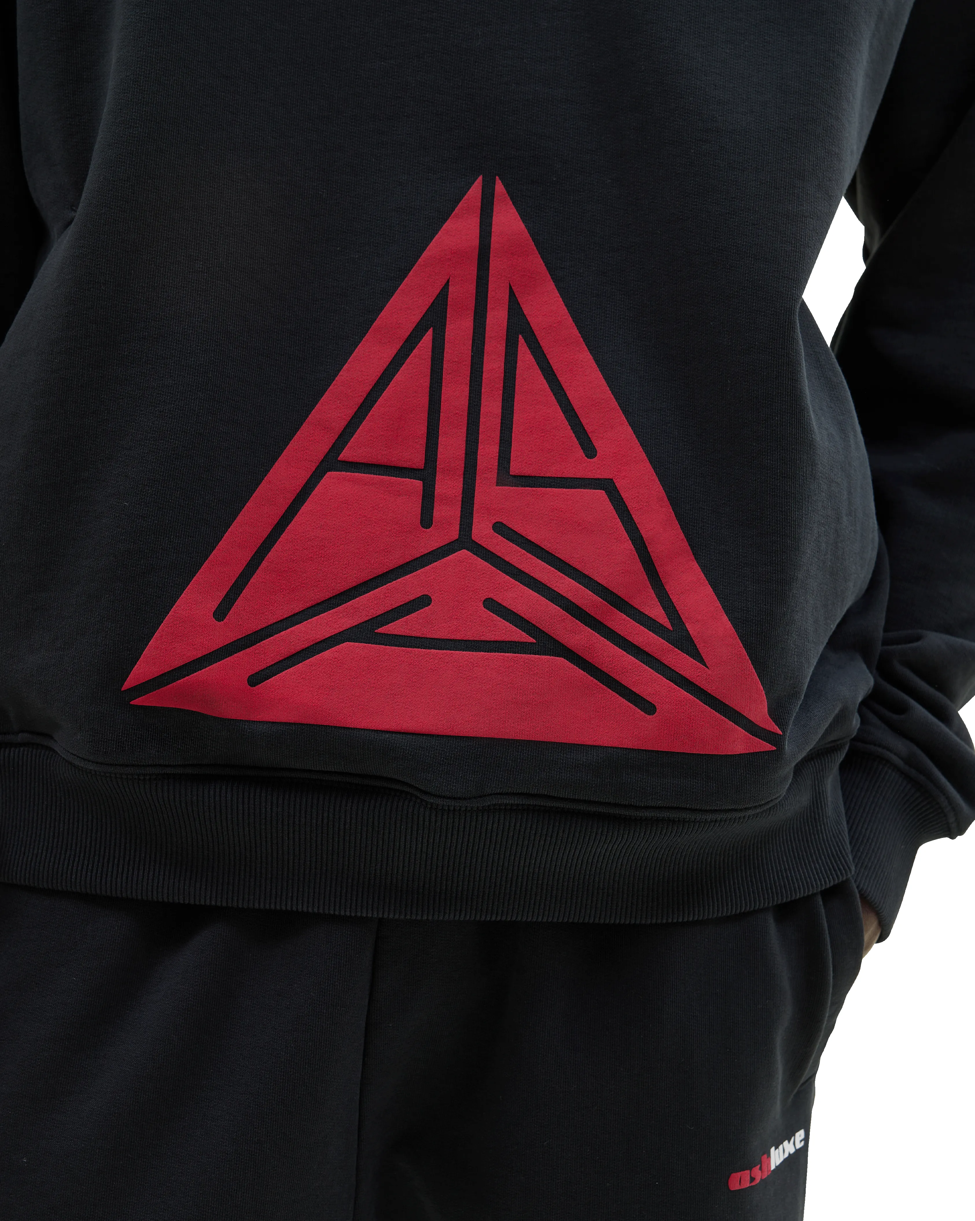 Triangle Logo Hoodie Black sold by Ashluxe product image thumbnail 2
