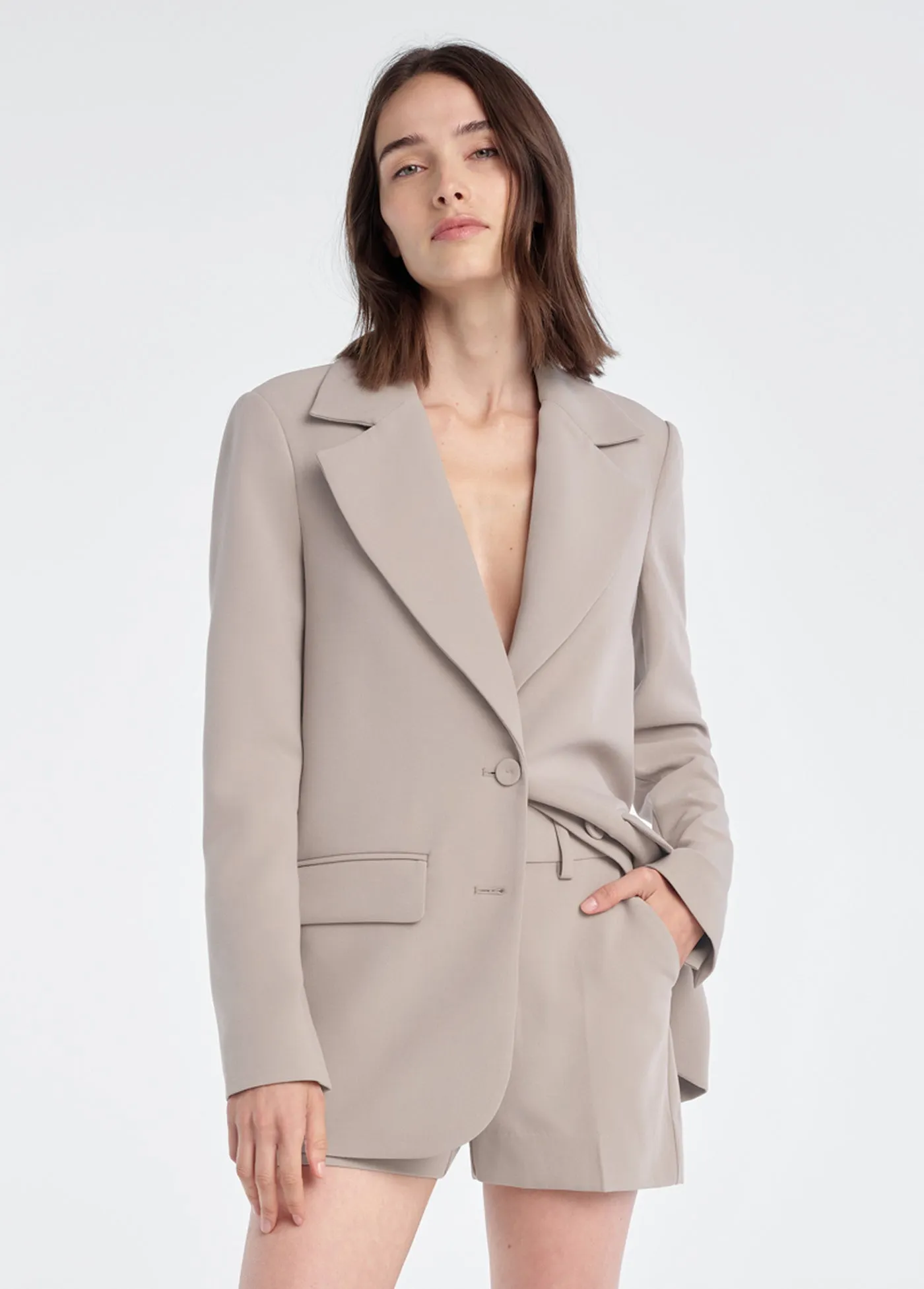 THE FAVORITE OVERSIZED BLAZER sold by Favorite Daughter product image thumbnail 2