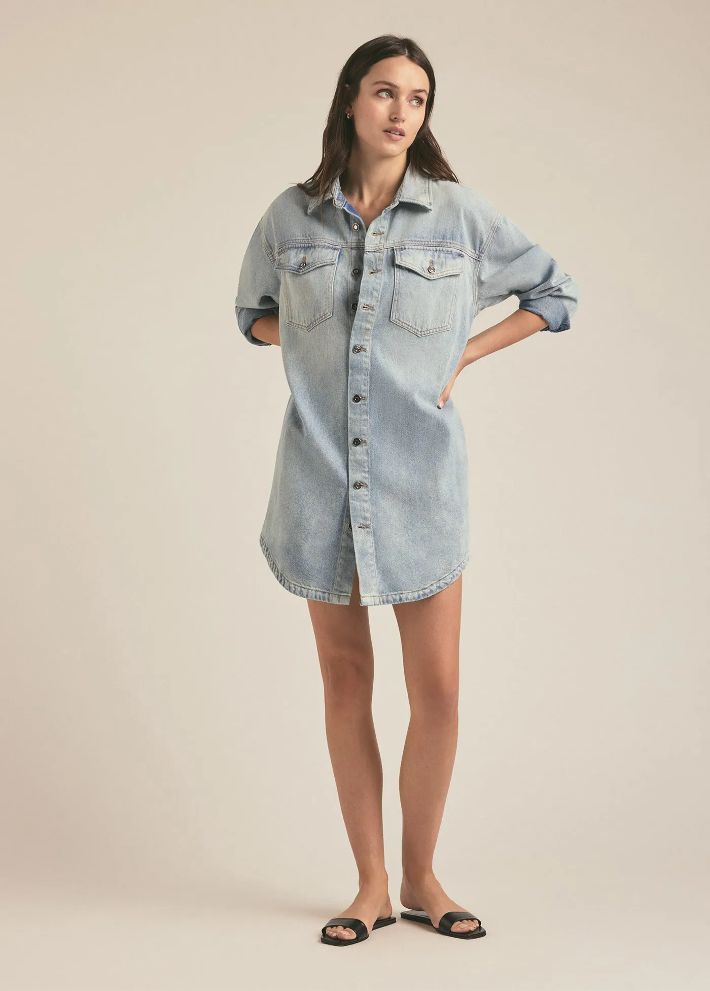 THE BEAU DRESS sold by Favorite Daughter product image thumbnail 2