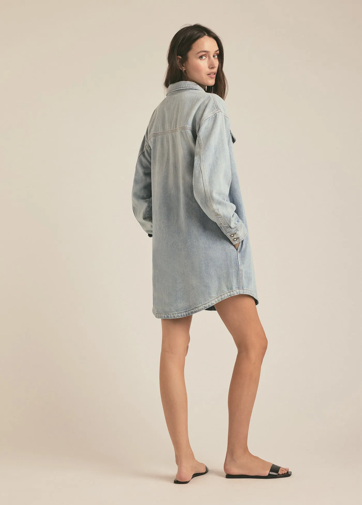THE BEAU DRESS sold by Favorite Daughter product image thumbnail 4