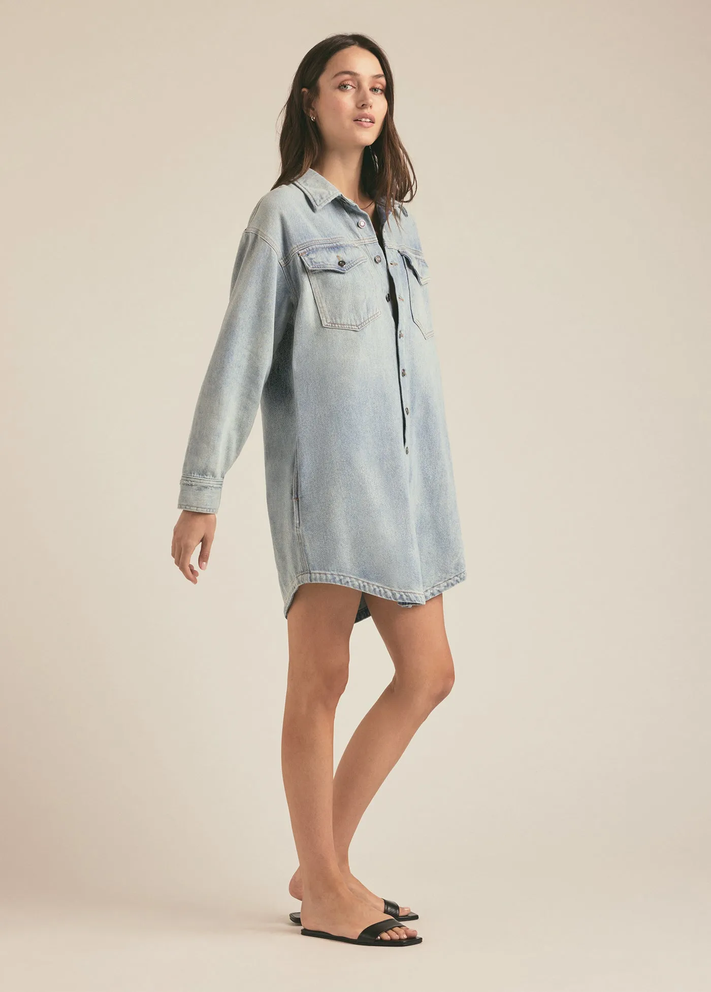 THE BEAU DRESS sold by Favorite Daughter product image thumbnail 3