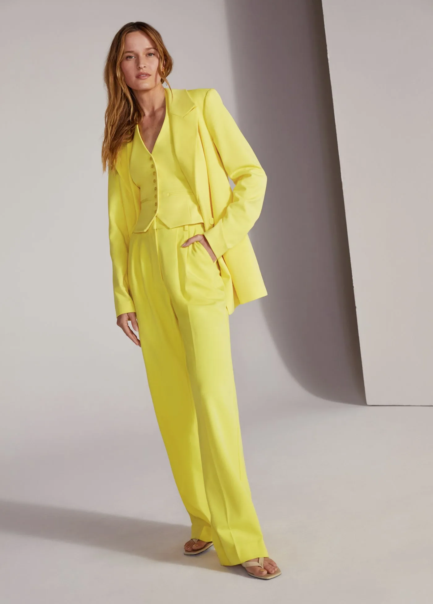 THE AGNES PANT sold by Favorite Daughter product image thumbnail 2