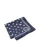 Organic Cotton Dot Bandana sold by Snow Peak