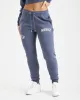 Calor Joggers - Navy sold by Hoodrich