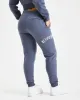 Calor Joggers - Navy sold by Hoodrich