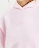 Link Hoodie - Pink sold by Hoodrich