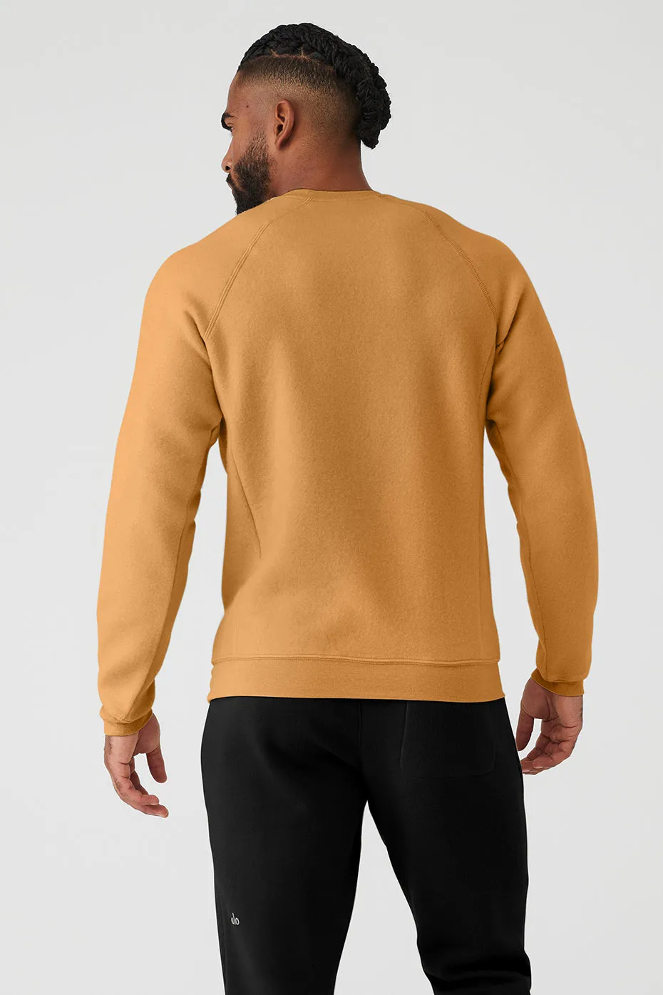 Triumph Crew Neck Sweatshirt - Toffee sold by Alo Yoga product image thumbnail 2