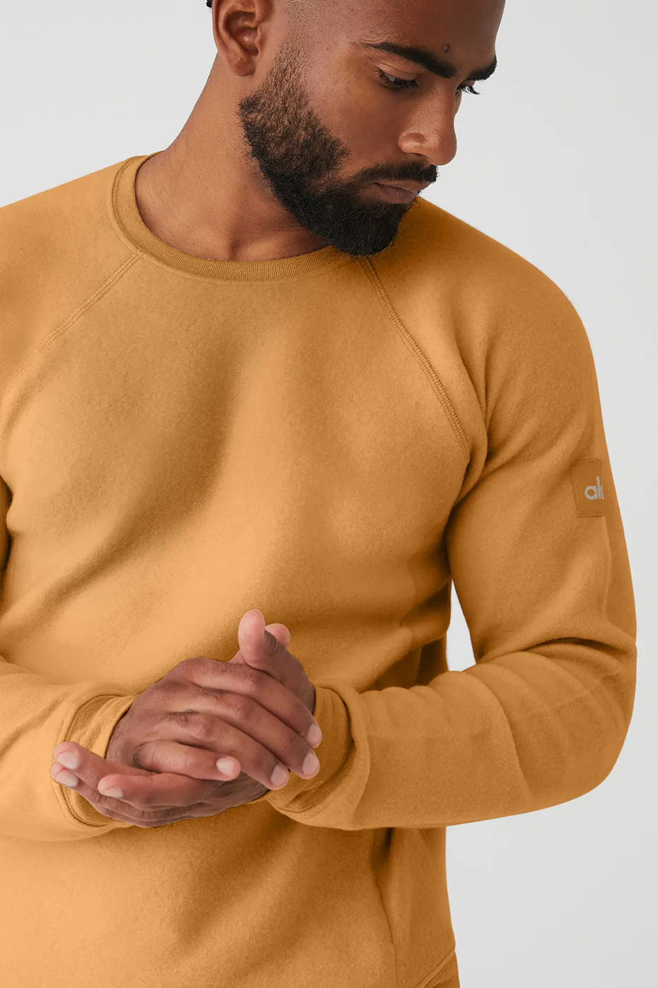 Triumph Crew Neck Sweatshirt - Toffee sold by Alo Yoga product image thumbnail 5
