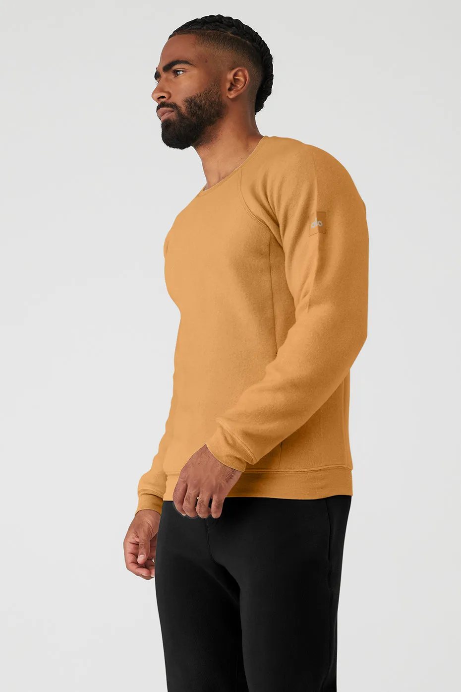 Triumph Crew Neck Sweatshirt - Toffee sold by Alo Yoga product image thumbnail 3