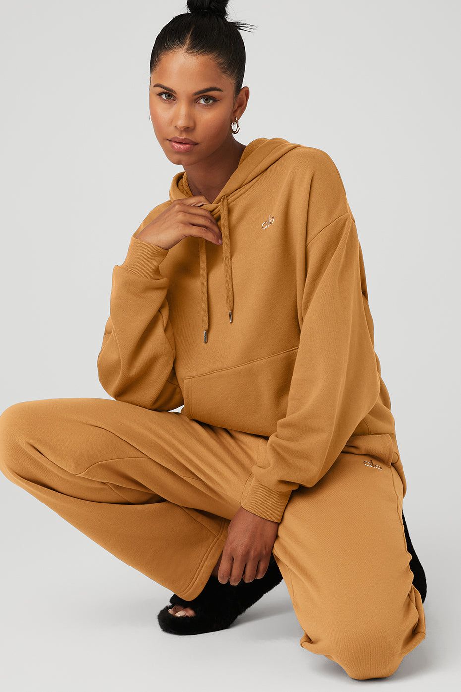 Accolade Hoodie - Toffee sold by Alo Yoga product image thumbnail 5