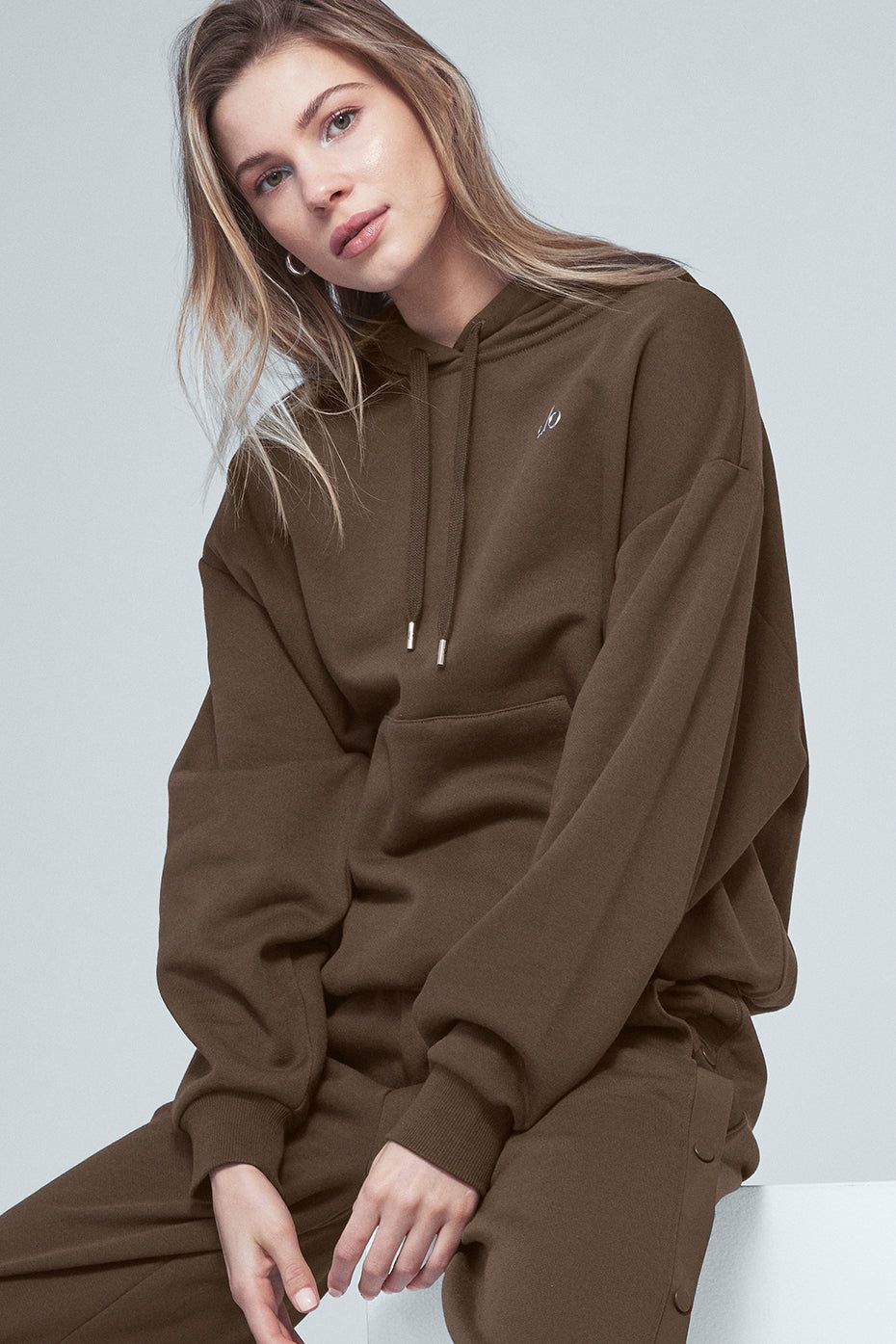 Accolade Hoodie - Espresso sold by Alo Yoga product image thumbnail 10