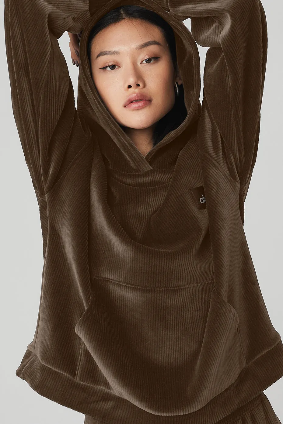 Velour Baller Hoodie - Espresso sold by Alo Yoga product image thumbnail 4