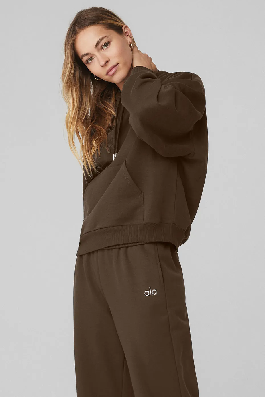 Accolade Hoodie - Espresso sold by Alo Yoga product image thumbnail 4