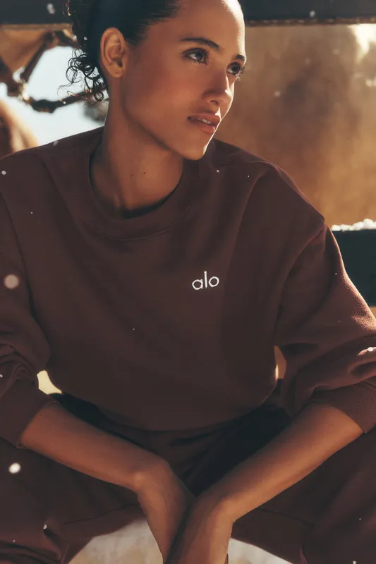 ALO | Accolade Crewneck Neck Pullover Top in Brownstone, Size: XS sold by Alo Yoga
