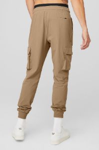 Cargo Division Field Pant - Gravel sold by Alo Yoga