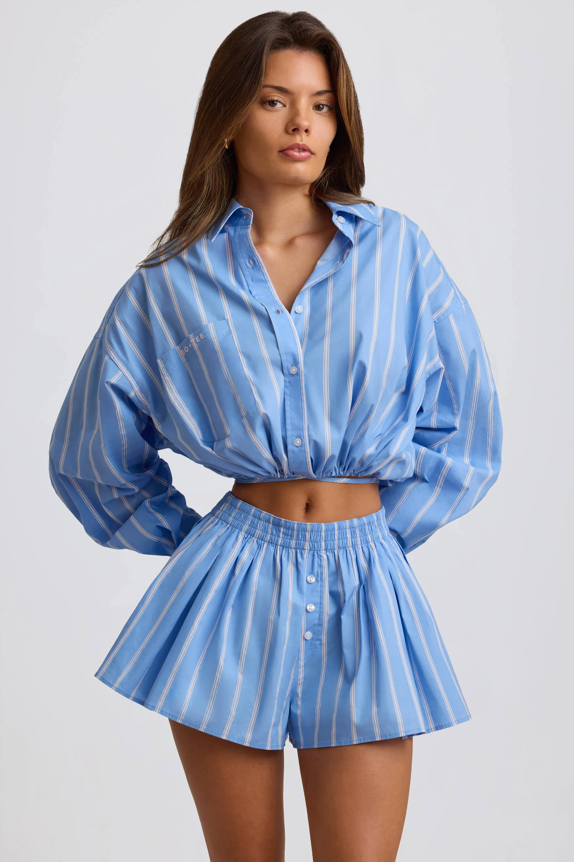 Cotton Poplin Stripe Pleated Shorts in Blue Stripe sold by Bo + Tee product image thumbnail 5