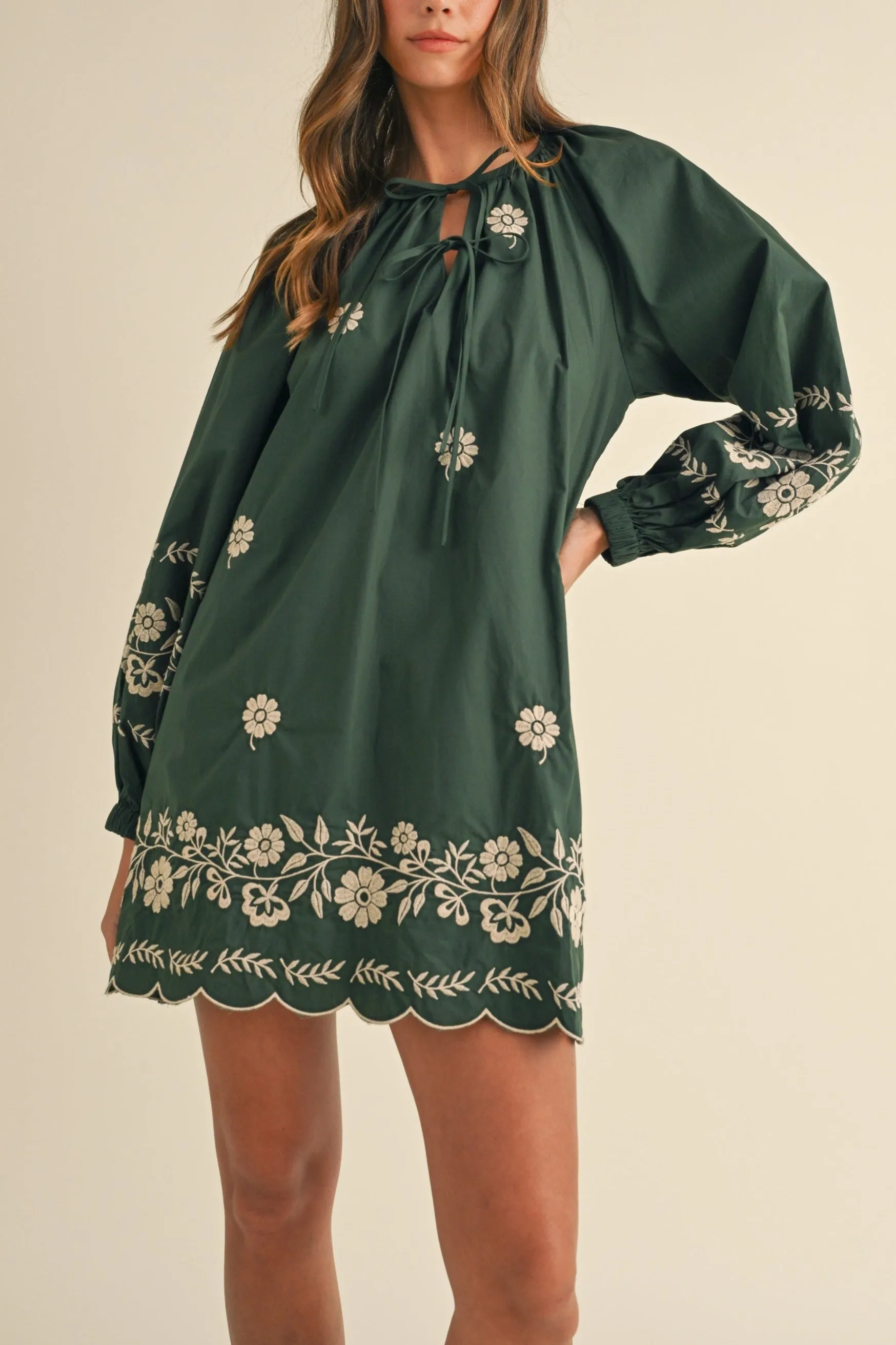 Embroidered Long Sleeves Shift Mini Dress sold by Evercado product image thumbnail 3
